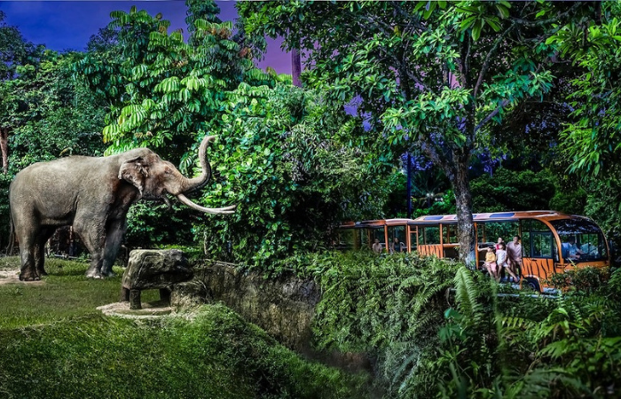 Safari nocturno: el primer zoológico nocturno del mundo