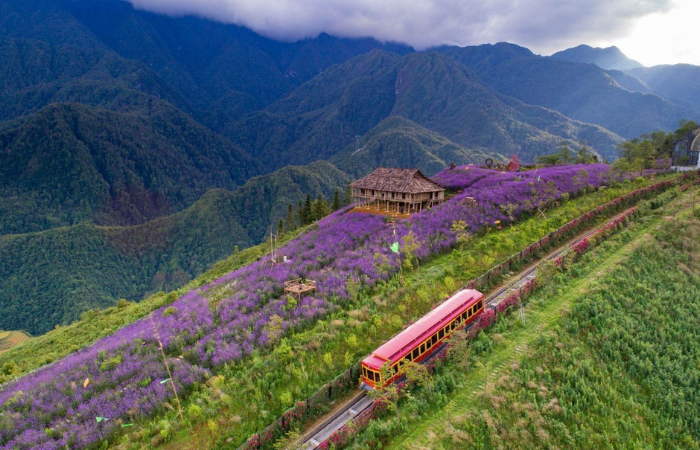 ruta Muong Hoa - Saps