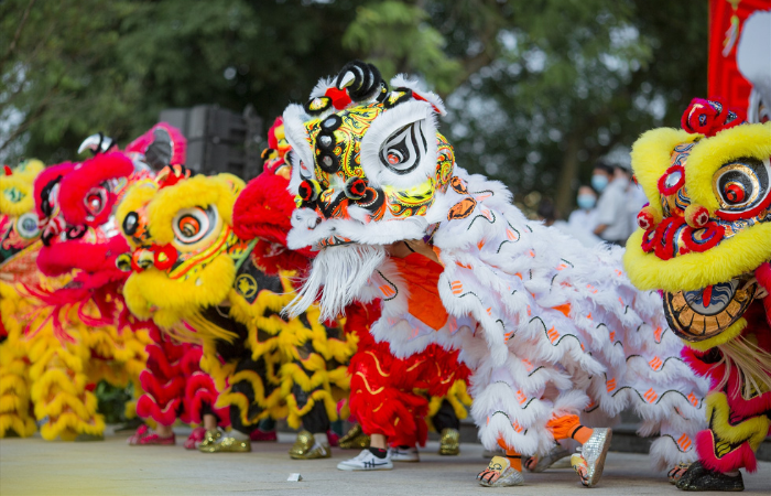 Los coloridos leones de danza están preparados para moverse al ritmo del tambor en el Festival del Medio Otoño