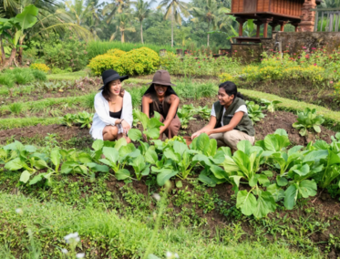 Experiencia agrícola en Blahkiuh