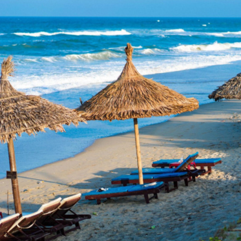 Reconexión y bienestar