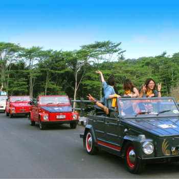 Bali ruta VW Safari de Batukaru y Jatiluwih - Mercado de Ubud