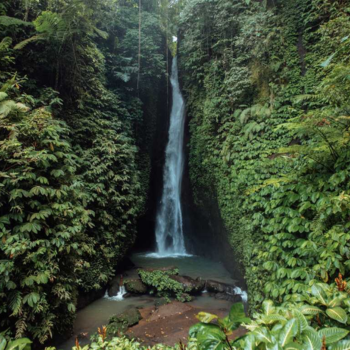 Ruta cascada de Nungnung - Bedugut - Templo Ulun Danu Beratan - Lago Buyan y Tambligan