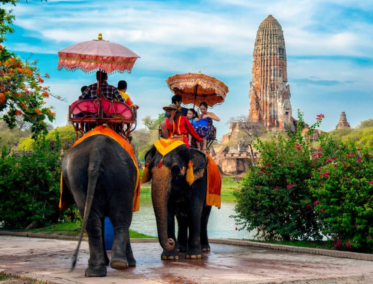 Encuentro en elefantes y cultura local