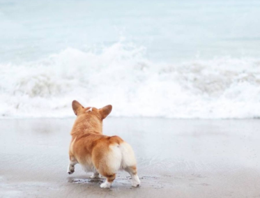 Once días inolvidables en Bali