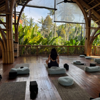 Ubud – Inicio programa wellness
