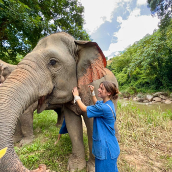 Chiang Rai – Experiencia Mahout, elefantes y actividades