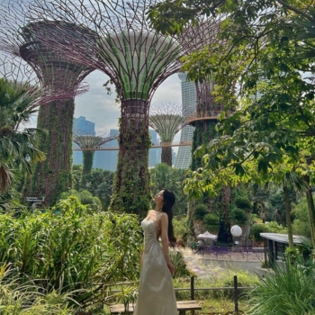 Singapur – Jardín Botánico, Little India, Distrito Cívico y Chinatown