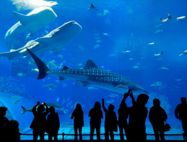 Underwater World Langkawi