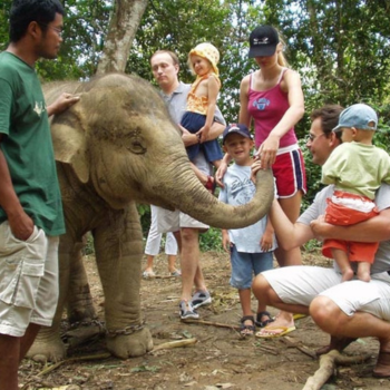 Kuala Lumpur –Centro de Conservación de Elefantes de Kuala Gandah