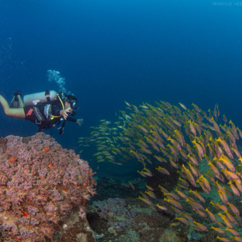 Isla de Tioman – Día libre