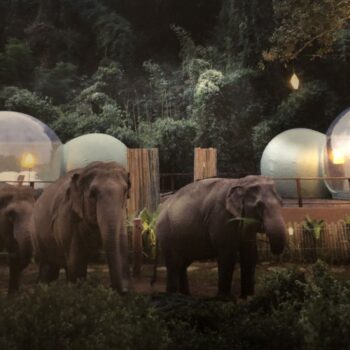 Chiang Rai: Experiencias Golden Triangle