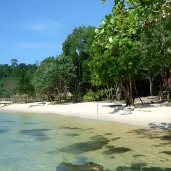 Siem Reap – Amanecer en Angkor Wat y templos ancestrales