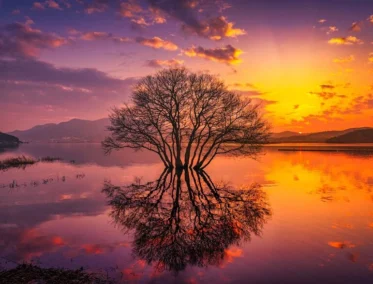 Un tour maravilloso de reconexión 