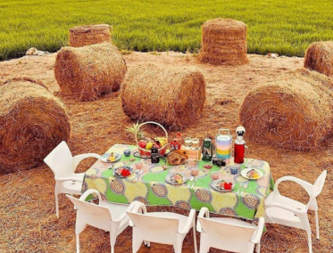 Sekinchan y cena en arrozales