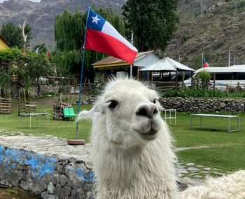  ¡Magia entre templos y fogones jemeres!