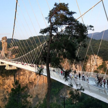 Día 12: Zhangjiajie - Shanghai