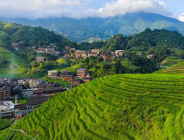 Terrazas de Arroz de Longji 