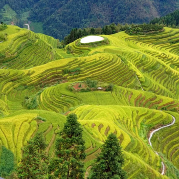  Visita de Guilin - Terrazas de Arrozales de Longji