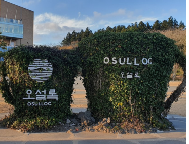 Campo y Museo del Té Verde O'sulloc
