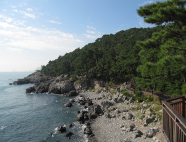 Isla Dongbaekseom