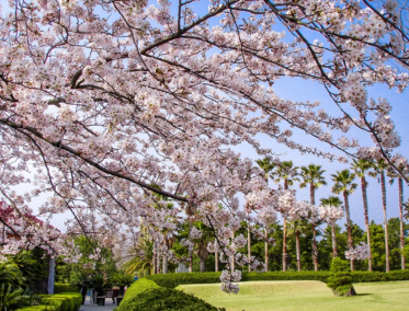 Parque Hallim